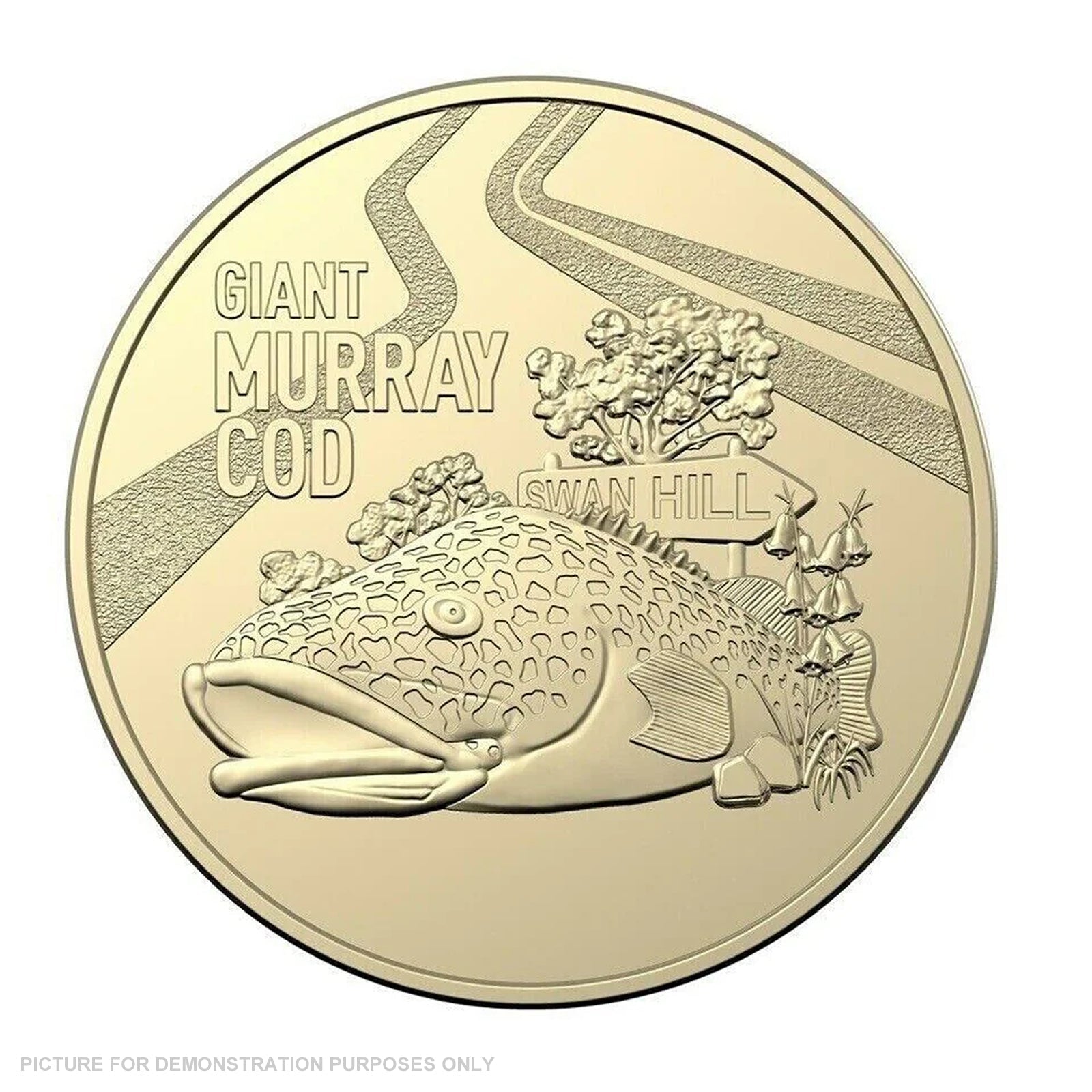 2023 $1 - Big Things - The Giant Murray Cod - Loose in 2x2